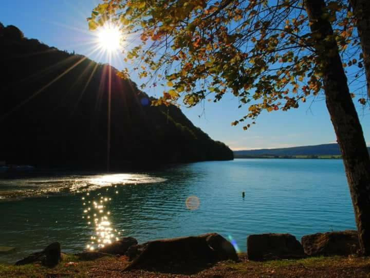 Maison/Gite Familial Dans Le Jura A 200M Du Lac Avec Piscine Privee Marigny  Exterior foto