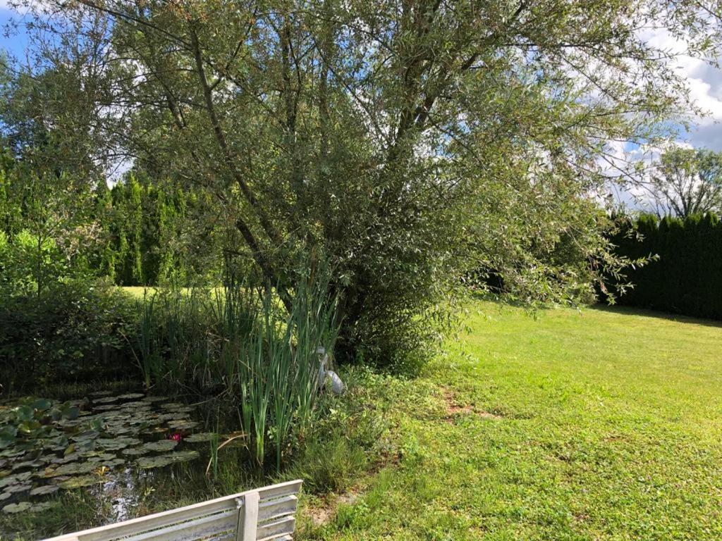 Maison/Gite Familial Dans Le Jura A 200M Du Lac Avec Piscine Privee Marigny  Exterior foto